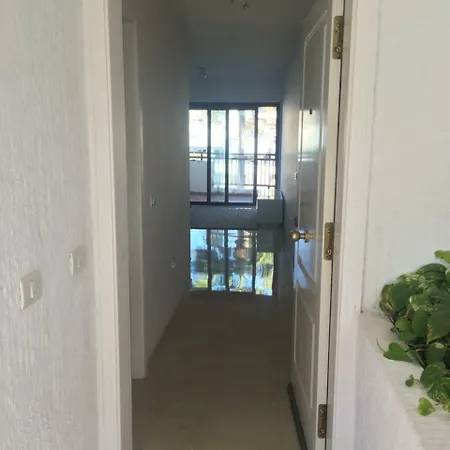 Apartamento Paola Playa de las Americas (Tenerife)